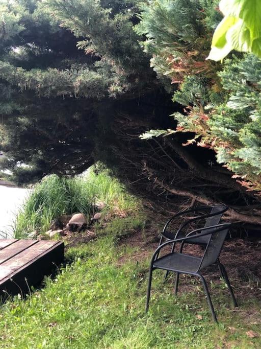 Lakeside Studio - Haus Mit Seezugang Königs Wusterhausen Eksteriør billede
