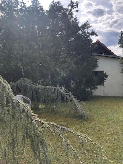 Lakeside Studio - Haus Mit Seezugang Königs Wusterhausen Eksteriør billede