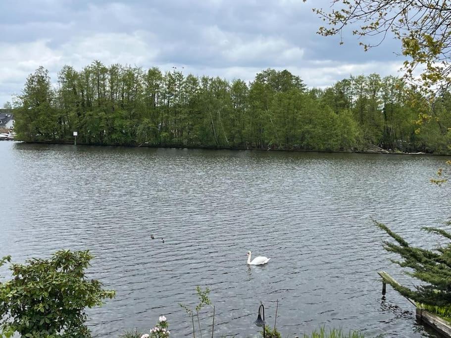 Lakeside Studio - Haus Mit Seezugang Königs Wusterhausen Eksteriør billede